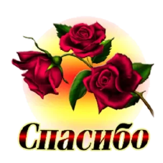 роза цветок торт на день рождения