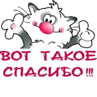 СМС графический дизайн графика