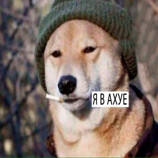 Sticker Xeno_Pack 2 - 11