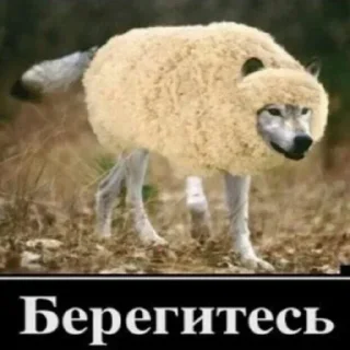 Sticker Больше стикеров: @sticerru - 6