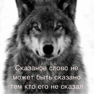 Sticker Больше стикеров: @sticerru - 3