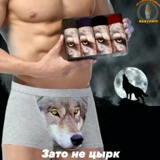 Sticker Больше стикеров: @sticerru - 10