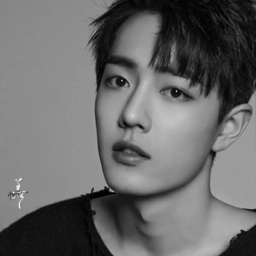 Sticker 𝐗𝗶𝗮𝗼 𝐙𝗵𝗮𝗻´ˎ˗  @SwanPack - 4