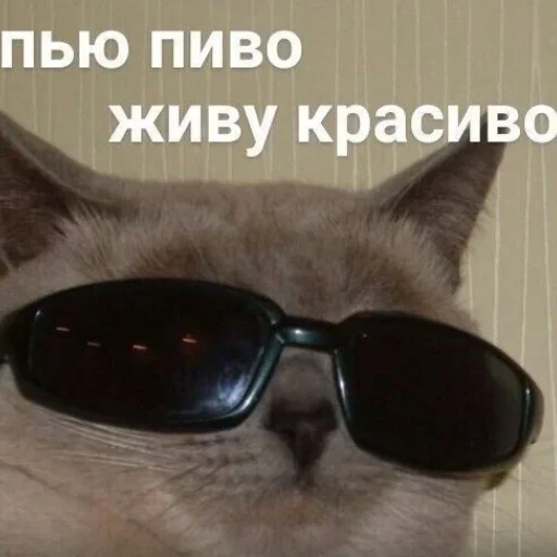 Стикер XibieVQ_by_achestickbot - 1