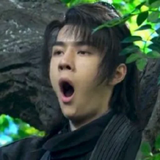 tree person human face