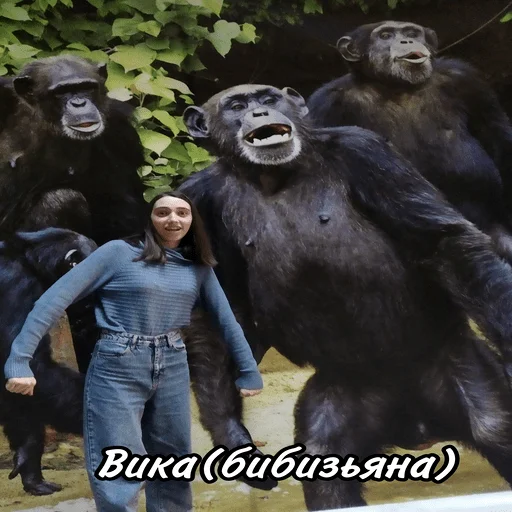 Стикер Xoxlyshka - 1