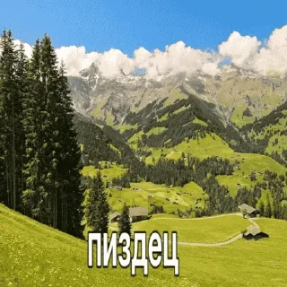 Стикер Больше стиков тут: @stikery4 - 3