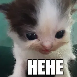 Sticker Больше стиков тут: @stikery4 - 9