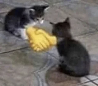 Sticker Больше стиков тут: @stikery4 - 3