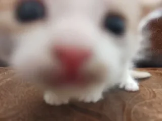 Sticker Больше стиков тут: @stikery4 - 1