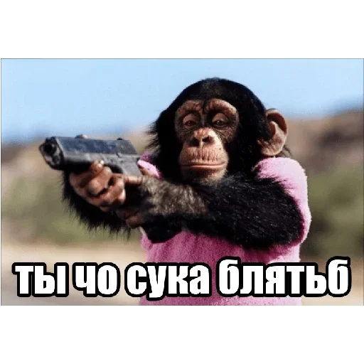 Sticker XryXtzBnhOgjucVRNX_by_stickers_stealer_bot - 1