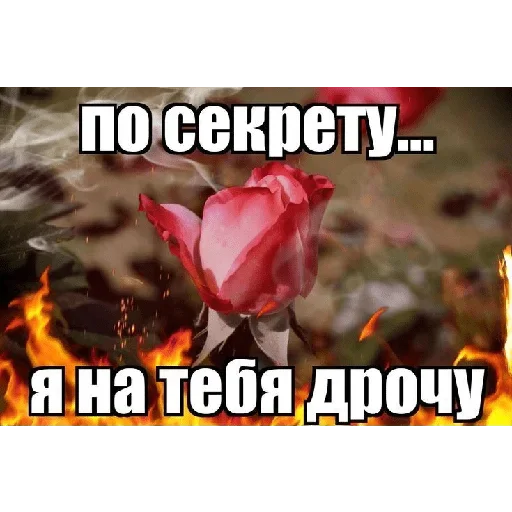 Sticker XryXtzBnhOgjucVRNX_by_stickers_stealer_bot - 1