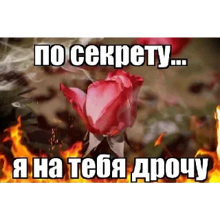 Sticker Больше стикеров 👉🏻 @stickertg4 - 6