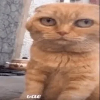 Стикер Больше стикеров 👉🏻 @stickertg4 - 3