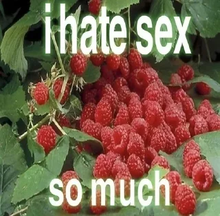 Sticker Больше стикеров 👉🏻 @stickertg4 - 1