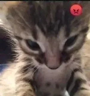 Sticker Больше стикеров 👉🏻 @stickertg4 - 8