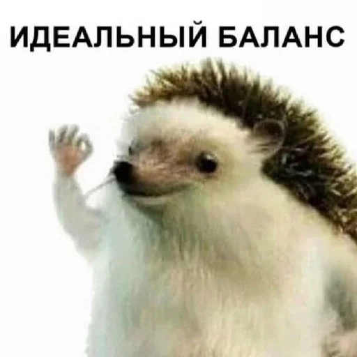 животное млекопитающее СМС