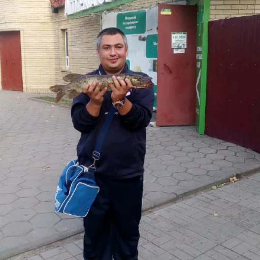 Человек одежда здание