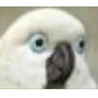 Sticker Ya безумна хачу питсы - 5