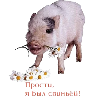 Sticker Ya безумна хачу питсы - 4