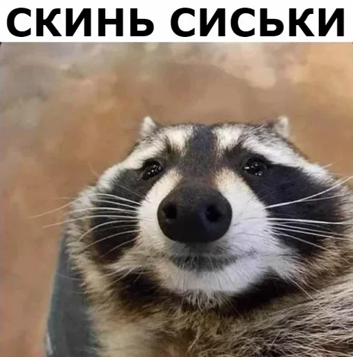 животное млекопитающее СМС