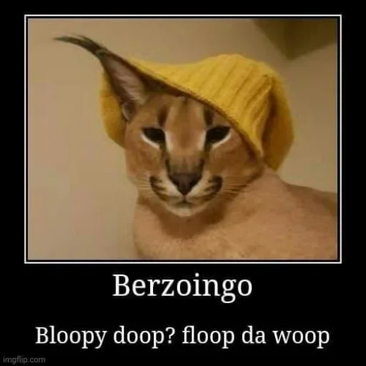 кошка животное Дикая кошка