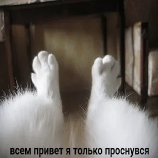 Стикер Больше стиков тут: @stikery4 - 7