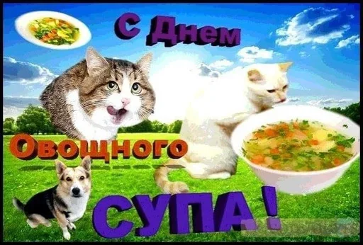 Больше стикеров: @sticerru - 