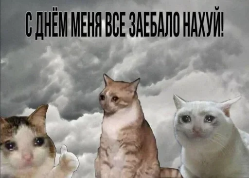 Sticker XwSfIWGxDdIBXkdQ_by_stickers_stealer_bot - 1