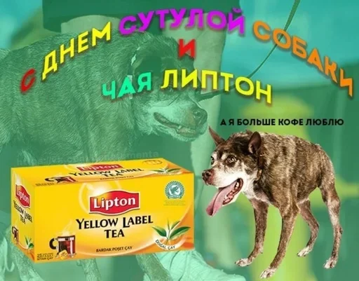 Sticker XwSfIWGxDdIBXkdQ_by_stickers_stealer_bot - 1