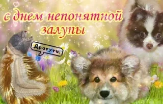 Стикер Больше стикеров: @sticerru - 1