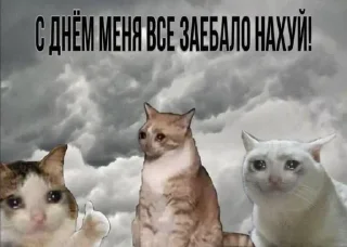 Стикер Больше стикеров: @sticerru - 11