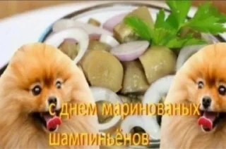 Стикер Больше стикеров: @sticerru - 6