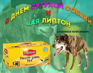 Стикер Больше стикеров: @sticerru - 0