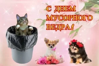 Стикер Больше стикеров: @sticerru - 5