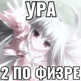 Sticker Высер дотера - 4