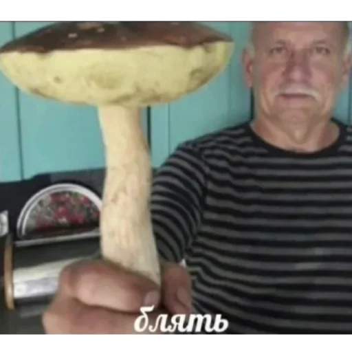 Стикер XyLDjisHeJA_by_stickers_stealer_bot - 1