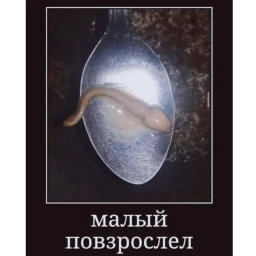 Стикер XyLDjisHeJA_by_stickers_stealer_bot - 1