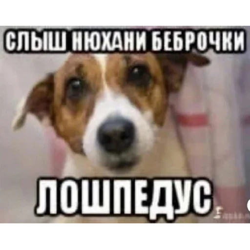 Sticker XyLDjisHeJA_by_stickers_stealer_bot - 1