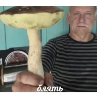 Стикер Больше стиков тут: @stikiin - 8