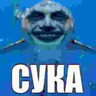 Стикер Больше стиков тут: @stikiin - 10