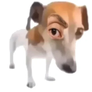 Стикер Больше стиков тут: @stikiin - 0