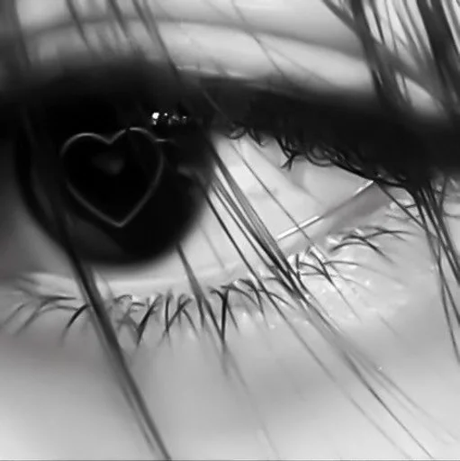 black and white closeup monochrome photography