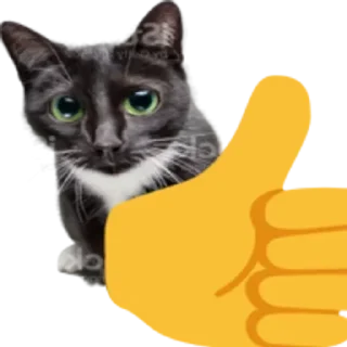 Sticker Больше стикеров 👉🏻 @stickertg4 - 3