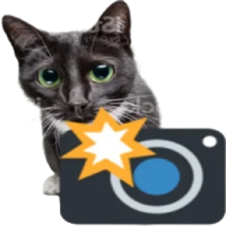 Sticker Больше стикеров 👉🏻 @stickertg4 - 11