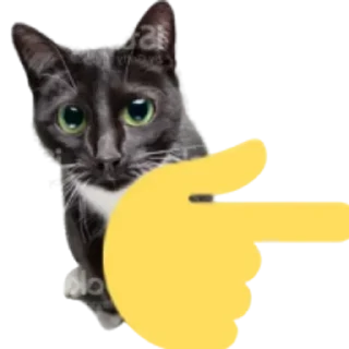 Sticker Больше стикеров 👉🏻 @stickertg4 - 9