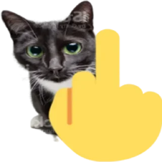 Sticker Больше стикеров 👉🏻 @stickertg4 - 4