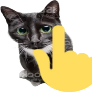 Sticker Больше стикеров 👉🏻 @stickertg4 - 1