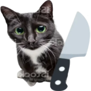 Sticker Больше стикеров 👉🏻 @stickertg4 - 10