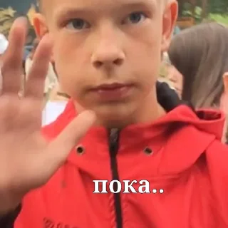 Sticker Жиза - 8